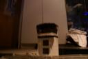 dsc01948.jpg