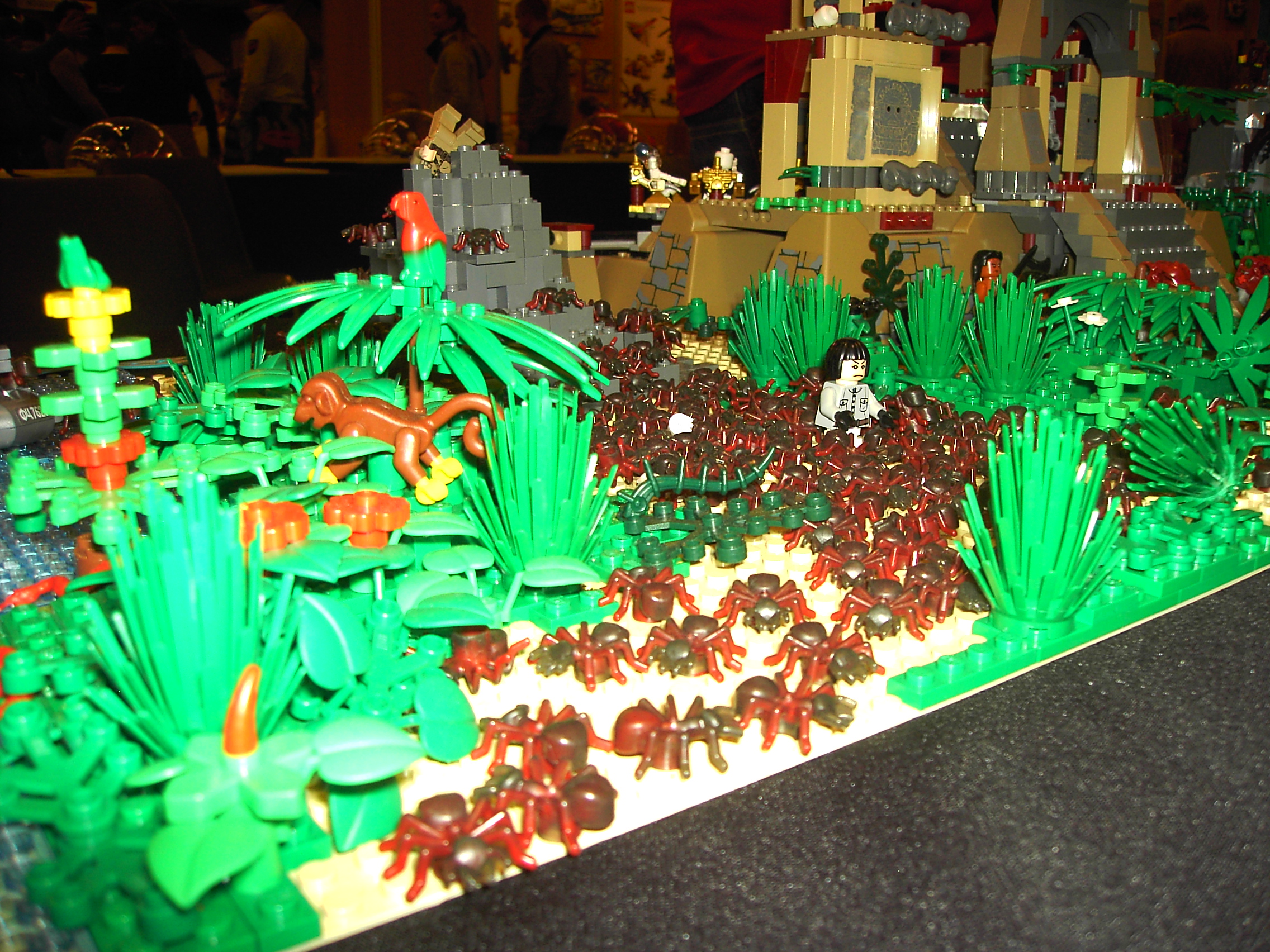 pict1593.jpg