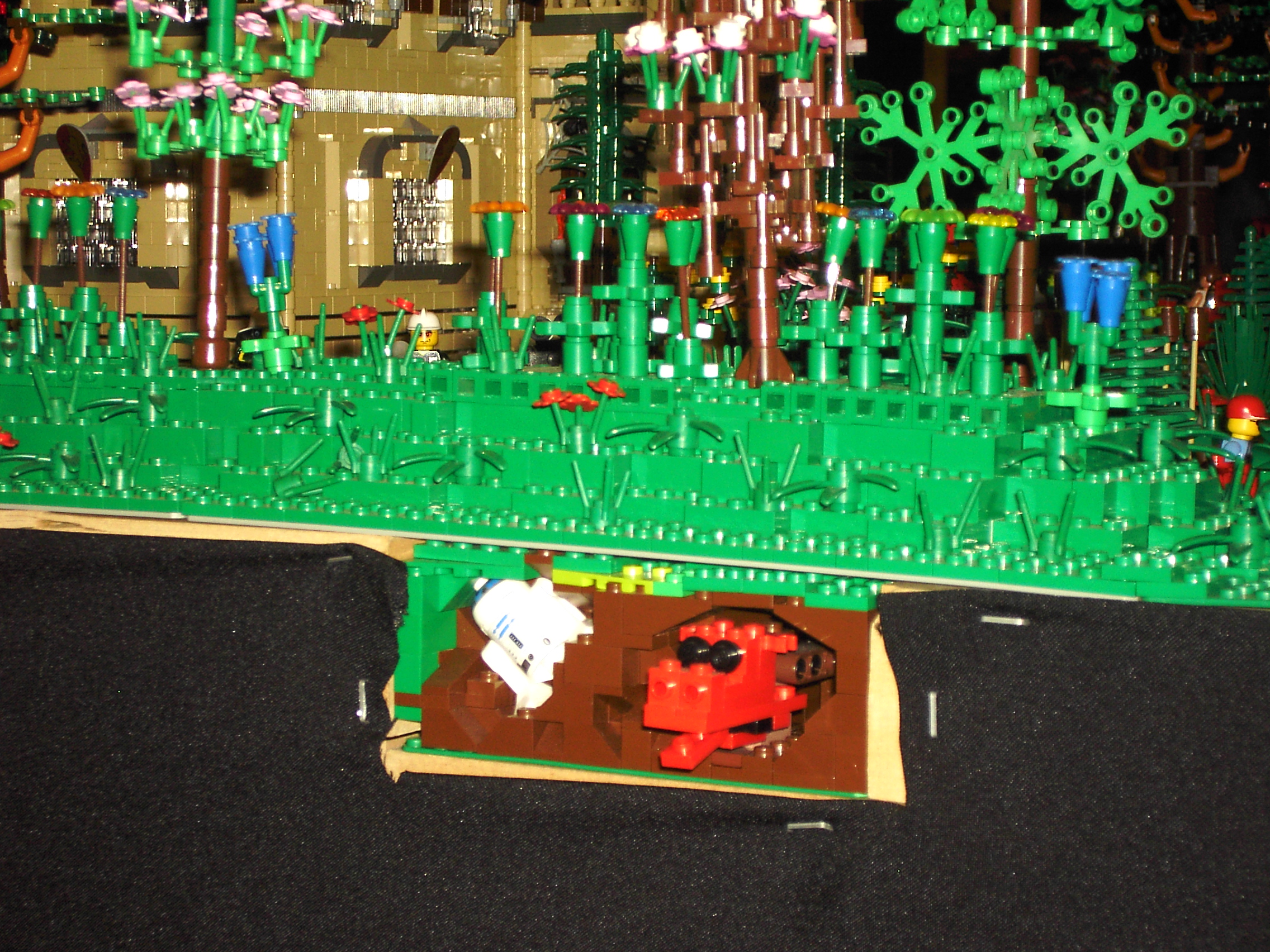 pict1656.jpg