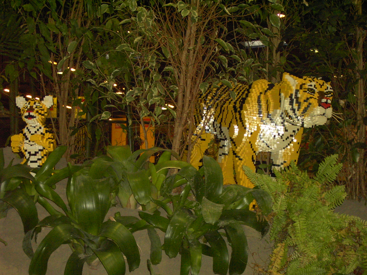 pict1999.jpg