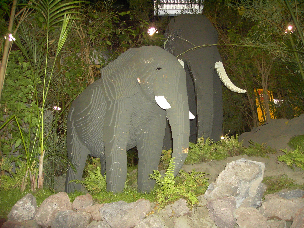 pict2007.jpg