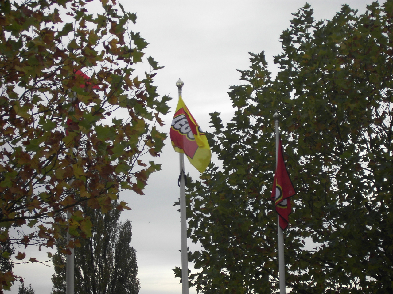 pict2062.jpg