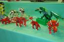 dsc01555.jpg