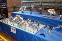 dsc01573.jpg