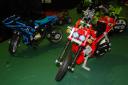 dsc01615.jpg