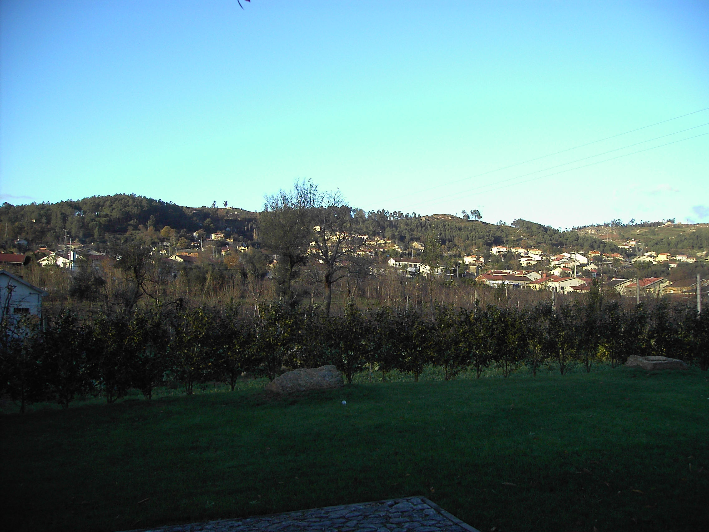 pict0229.jpg