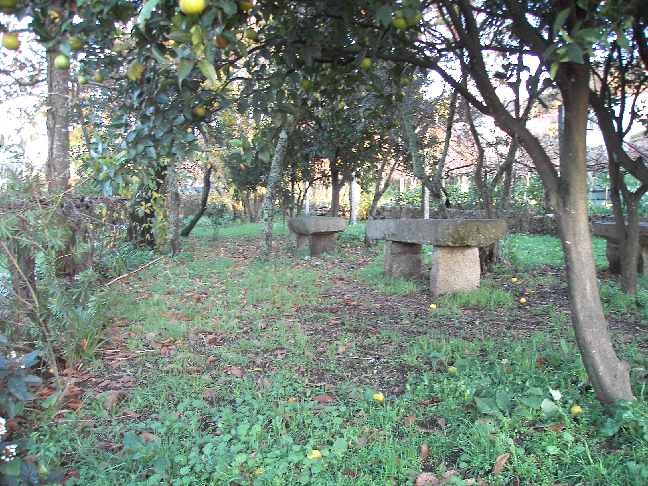 pict0231.jpg