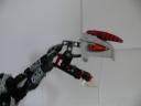 allosaurus_006.jpg