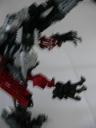 allosaurus_009.jpg