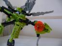 meganeura_014.jpg