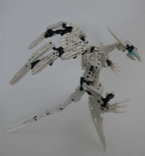 white_star_dragon_022.jpg
