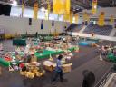 dsc00195.jpg