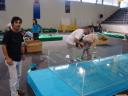 dsc00202.jpg