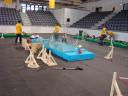 dsc00296.jpg