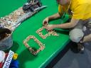 dsc00302.jpg