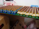 dsc00318.jpg