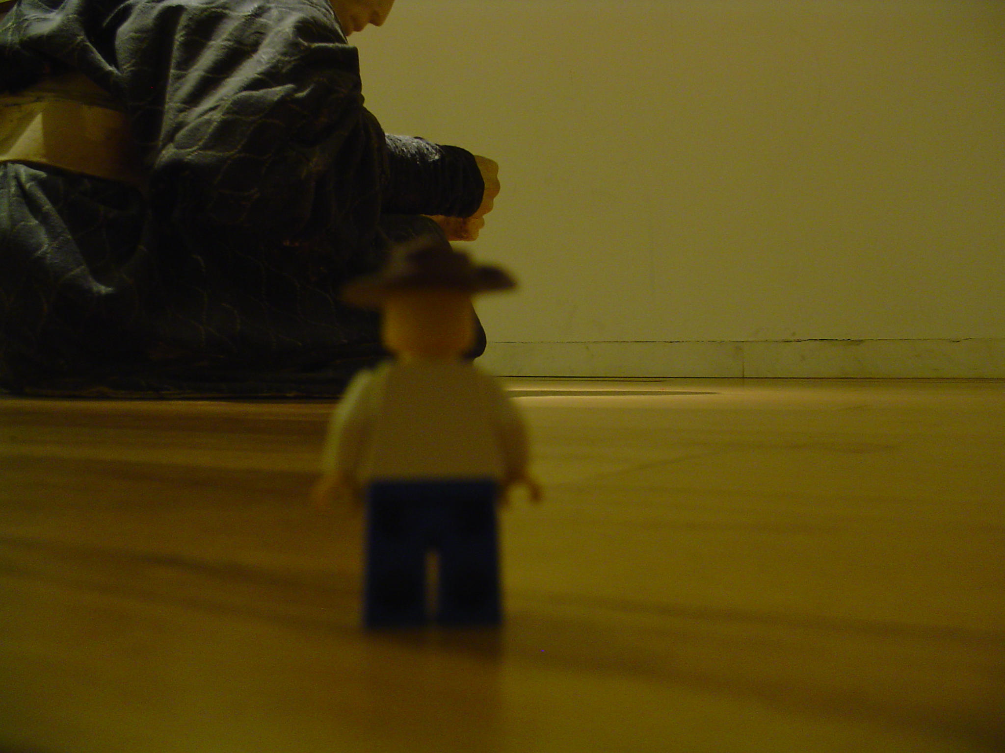 dsc00937.jpg
