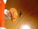 dsc00883.jpg