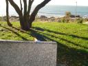 dsc00909.jpg