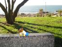 dsc00911.jpg