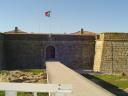 dsc00915.jpg