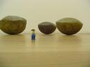 dsc00948.jpg