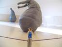 dsc00959.jpg