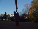 dsc00966.jpg