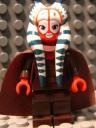 shaak_ti_7931.jpg