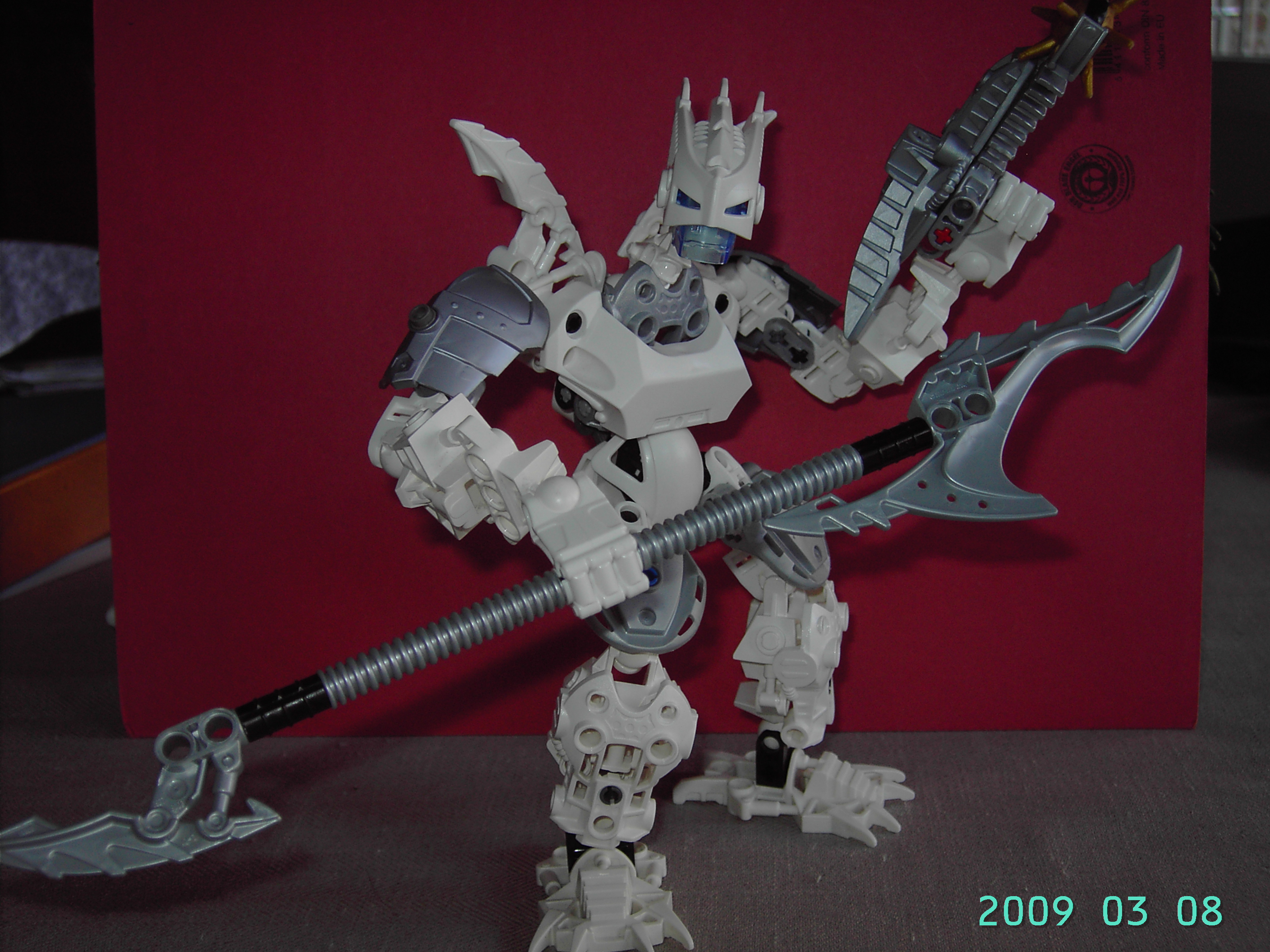 certavus_005.jpg