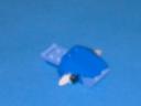 imag0013.jpg