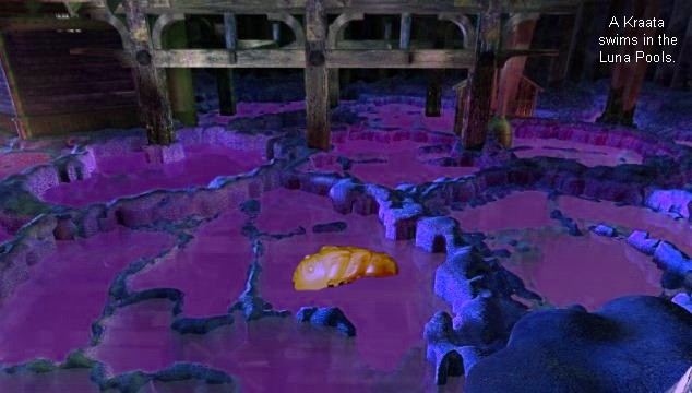 lunapools.jpg