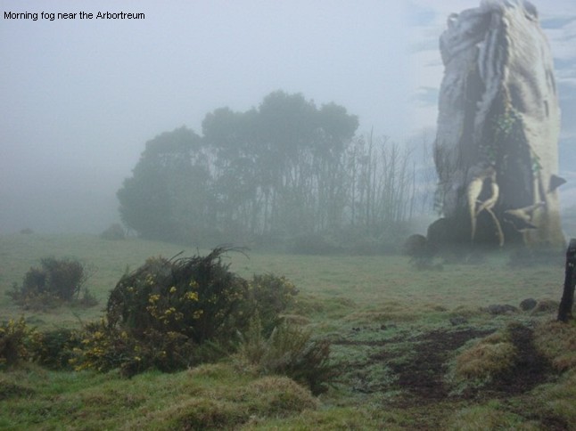 morningmist.jpg
