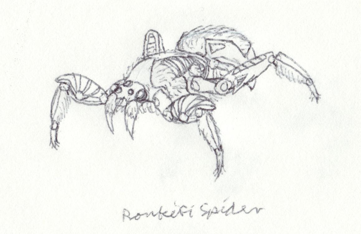 roukifi_spider.jpg