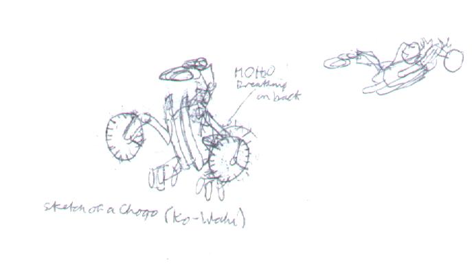 chogo_sketch.jpg