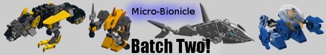 micro2bnr.png