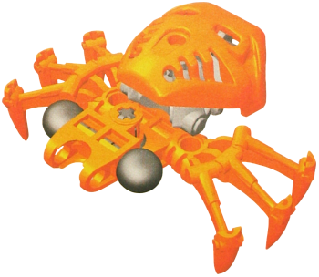 50a_orange_fikou_spider.png