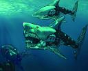 45d_takea_sharks.png