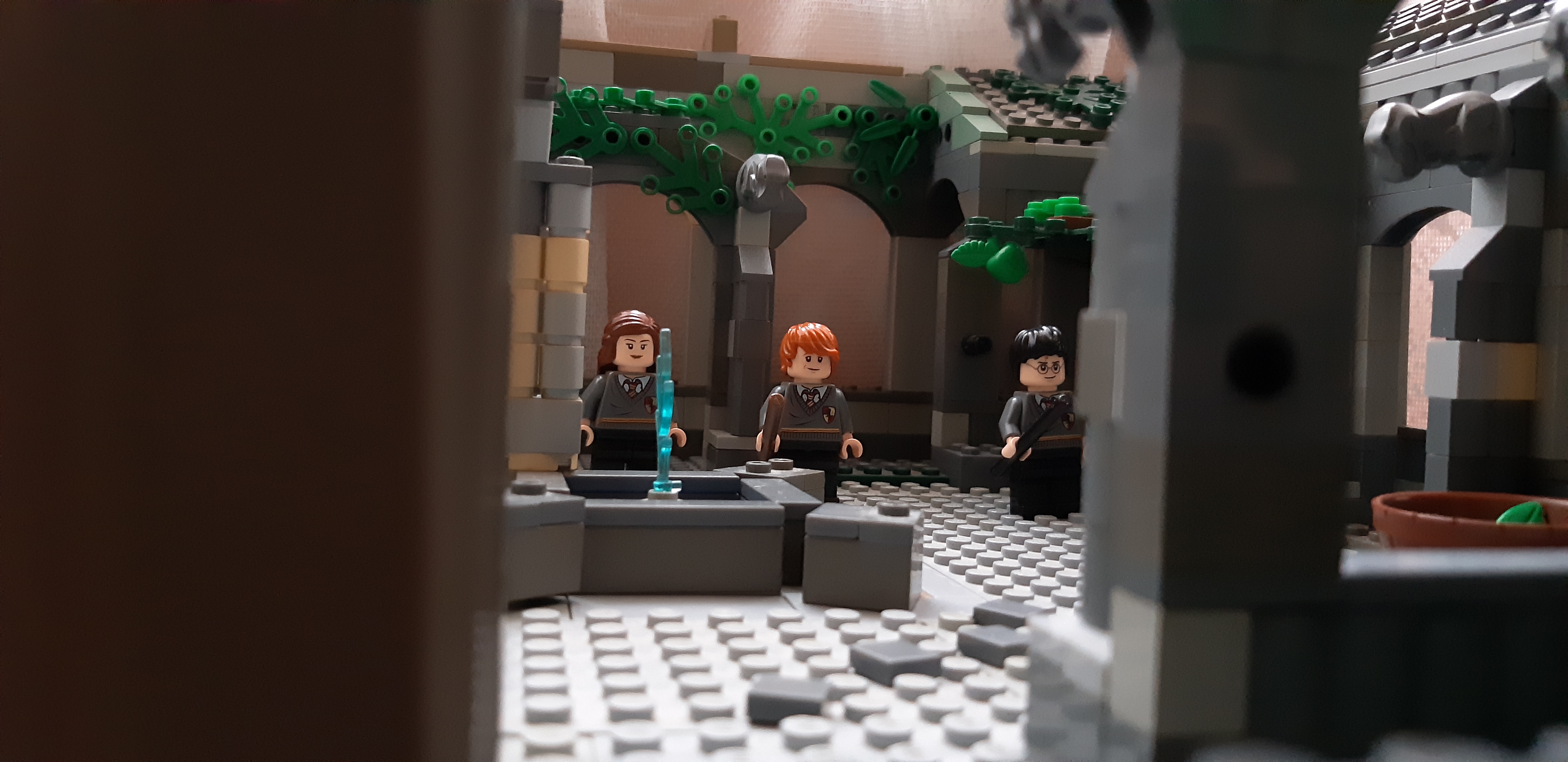 20180827_180447.jpg