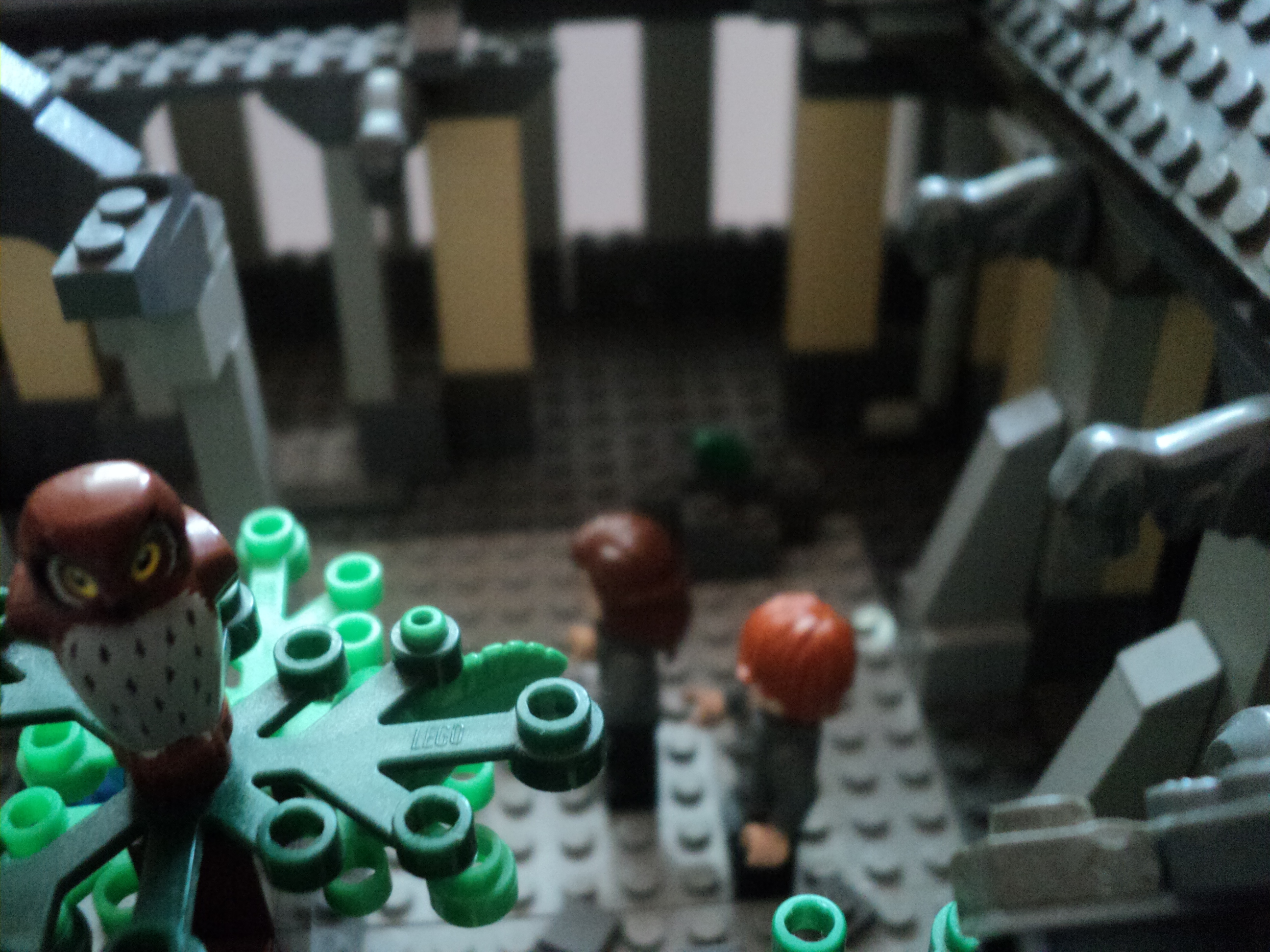 dsc01585.jpg
