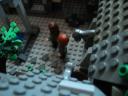 dsc01588.jpg