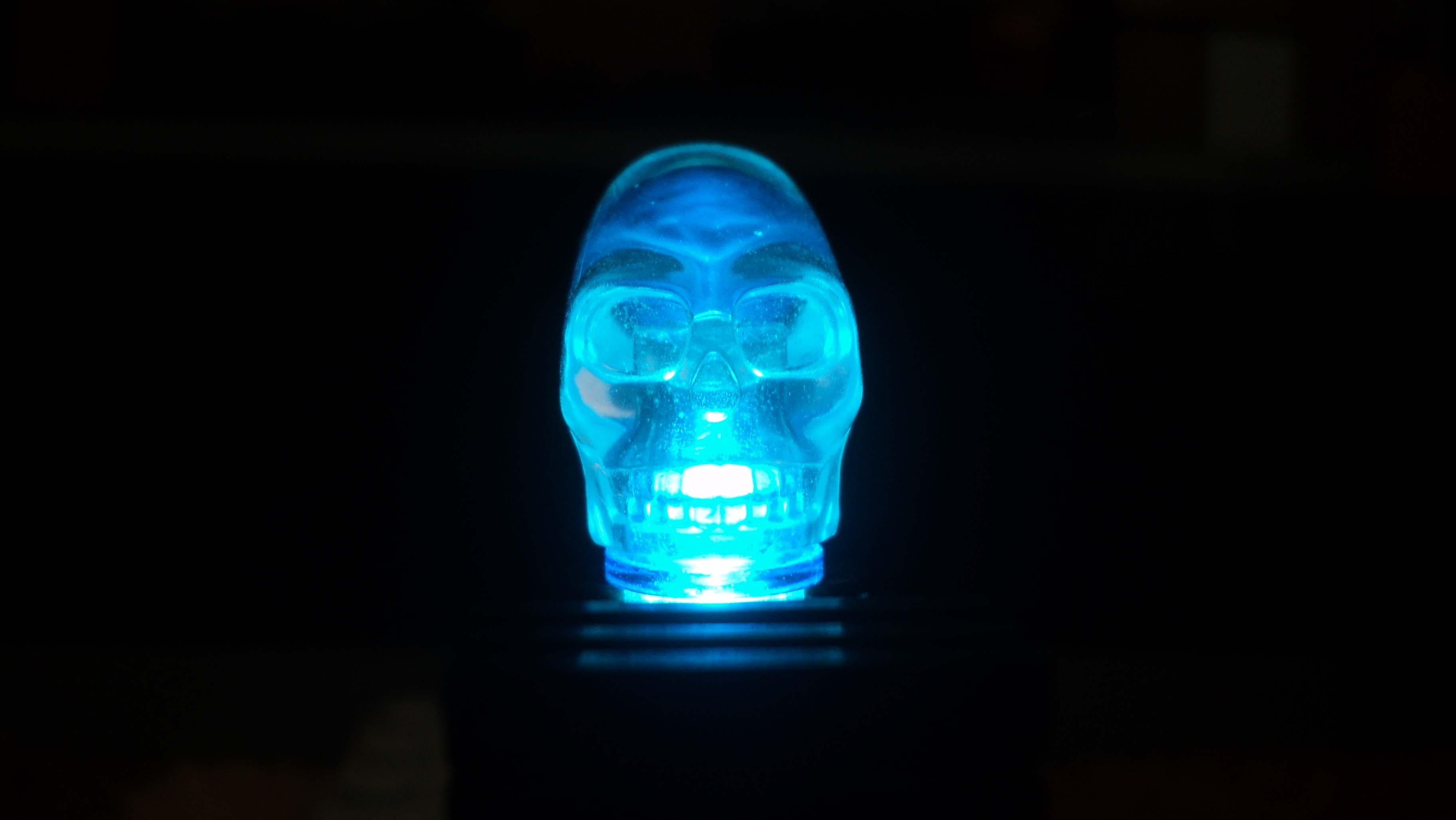 dsc03395.jpg