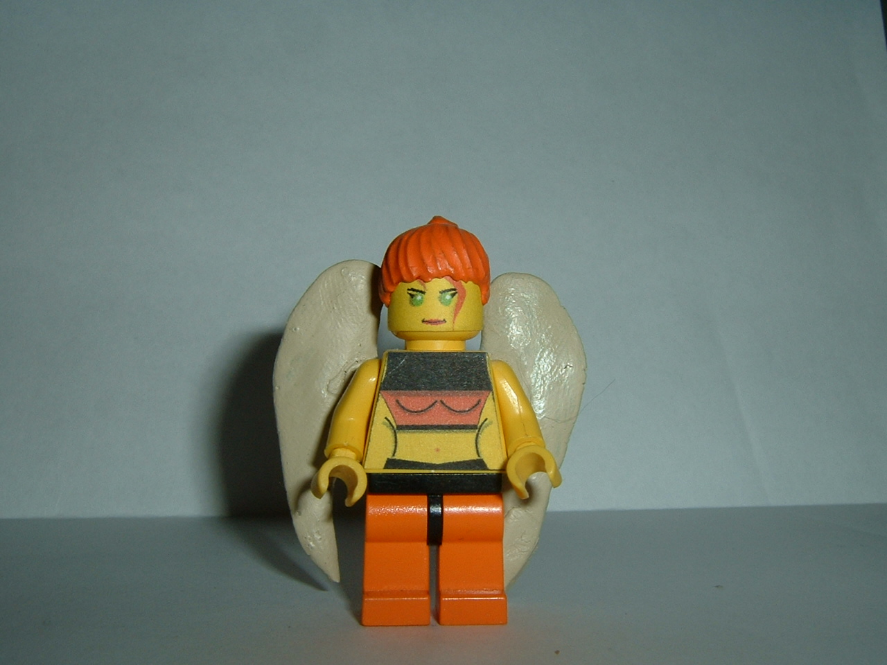 hawkgirl.jpg