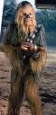 chewie.jpg