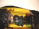 dsc02196.jpg