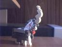 horsebarding5.jpg