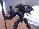 predator_back.jpeg