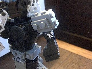 gigas2.jpg
