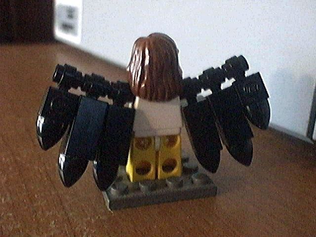 myharpy6.jpg