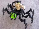 arachne2.jpg